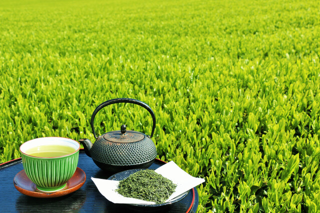 玉露とは数ある日本茶の中でも高級に分類されるお茶のこと